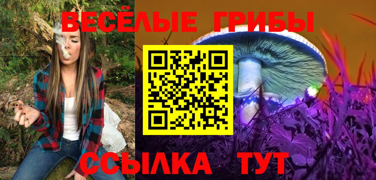 Белово  Псилоцибиновые грибы ЛСД  Вход с VPN  Псилоцибиновые грибы Magic Shrooms 