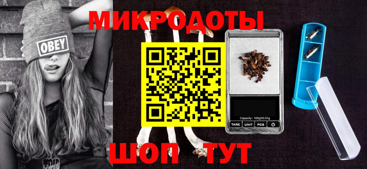 Псилоцибиновые грибы Psilocybe Белово